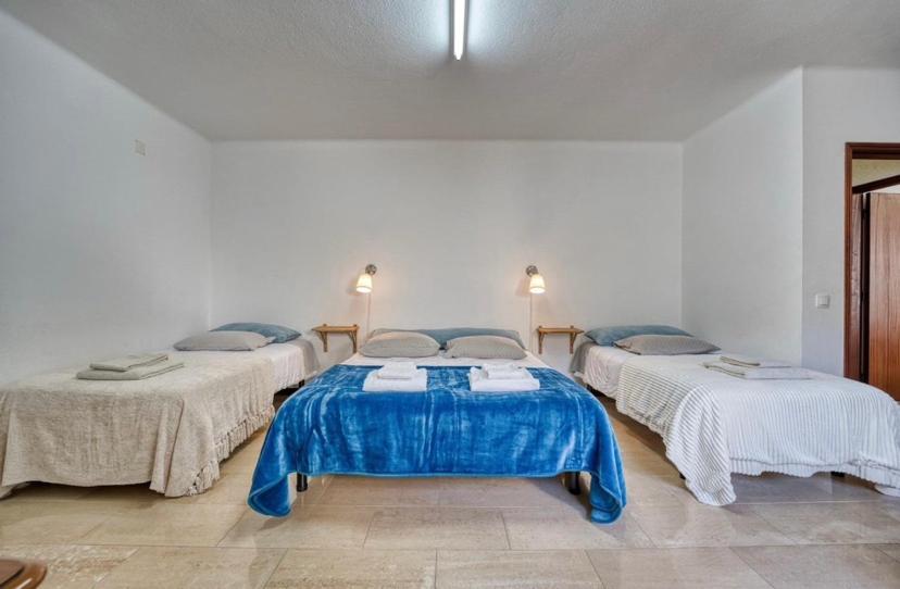 Casa De Azzancha Guest House Azinhaga ภายนอก รูปภาพ