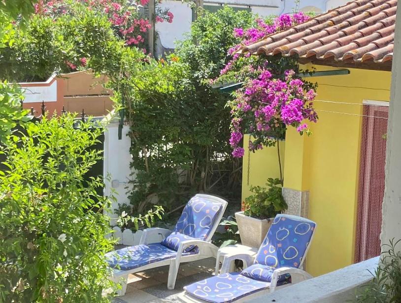 Casa De Azzancha Guest House Azinhaga ภายนอก รูปภาพ