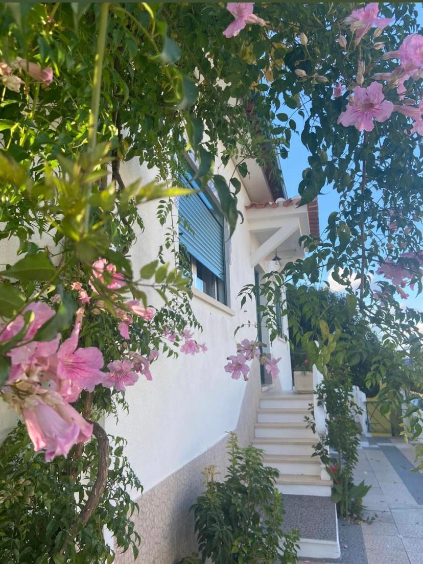 Casa De Azzancha Guest House Azinhaga ภายนอก รูปภาพ